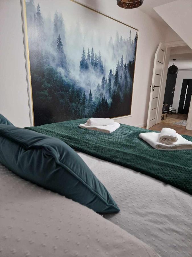 Widokowa Polana Apartment Szaflary Luaran gambar